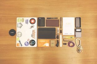 (有哪些好玩的单机生存游戏手机版)精彩刺激的单机生存类手机游戏推荐大全