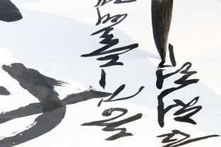 (书法家沈鸿根行草)探寻中国书法文化之美：沈鸿根行草字体的独特魅力及艺术价值