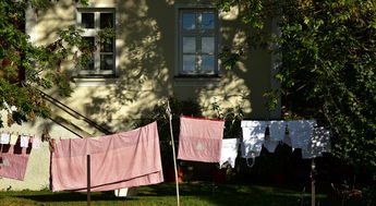 (小小农场活动)小小大农场金条银条在哪里？探寻小农场内隐藏的财宝藏匿之处