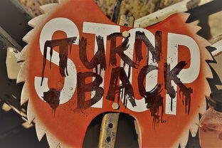 绯色回响：戴莫妮卡立绘揭秘，绝美的视觉盛宴！