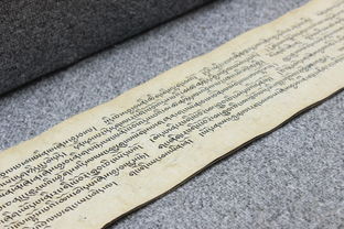 (蜂鸟五虎将攻略)揭秘蜂鸟五虎卡单将战术秘诀，助你在游戏中轻松获胜