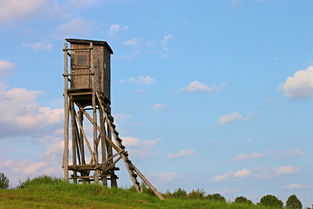 天下争霸三国志手游：百家争鸣，智谋较量，征战纵横，谁能称霸天下？