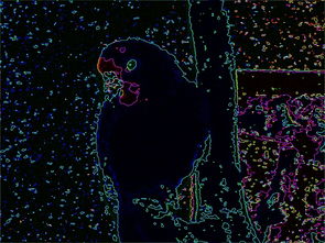 (梦幻家园全部通关)梦幻家园全关卡过关解锁技巧大揭秘，让你轻松通关！