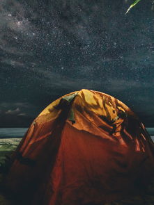 挑战21天不打马赛!荒野求生21天不打马赛原版全程实录与心得分享 挑战21天不打马赛!荒野求生21天不打马赛原版全程实录与心得分享