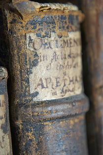 (野蛮人大作战游戏视频)野蛮人大作战"跑路风波：游戏出路在何方？玩家如何选择？