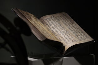 (朝歌读音是什么)朝歌怎么读?常见读音以及在历史中的意义简析 (朝歌读音是什么)朝歌怎么读?常见读音以及在历史中的意义简析
