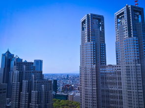 2024澳门免费资料,正版资料|探索城市中的未知魅力_HD品.9.372 2024澳门免费资料,正版资料|探索城市中的未知魅力_HD品.9.372