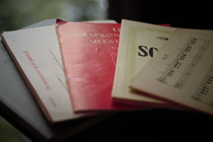 (雷霆斩月之雷霆)揭秘雷霆斩月圣兽最佳阵容搭配：战无不胜的完美搭配