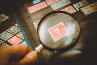老澳门今晚开奖结果+开奖|数据分析解释落实_稀缺版.0.535 老澳门今晚开奖结果+开奖|数据分析解释落实_稀缺版.0.535