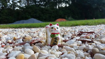 (绿茵体育文化)探索绿茵体育官网,了解全球体育赛事资讯和最新动态! (绿茵体育文化)探索绿茵体育官网,了解全球体育赛事资讯和最新动态!