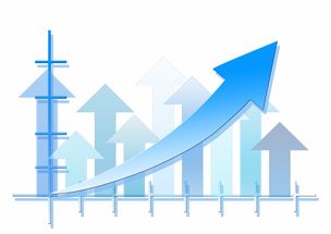 2024新奥正版精准资料|详细数据解释落实_新视野.3.721