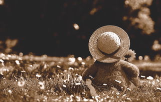 机忆游戏三个结局攻略：如何轻松解锁不同结局，完美收官游戏！