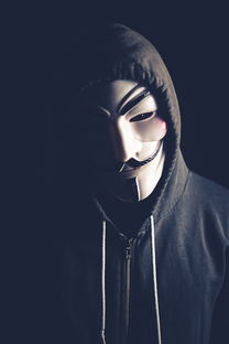 《无限暖暖》官网被黑事件揭露:暖心网站遭遇黑客攻击,用户数据面临泄露风险 《无限暖暖》官网被黑事件揭露:暖心网站遭遇黑客攻击,用户数据面临泄露风险