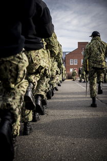 (蜘蛛 英雄归来 国语 播放)蜘蛛英雄归来普通话版免费在线观看，精彩瞬间尽在眼前