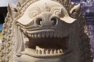 (寻龙传说 中国龙)寻龙传说：历史悠久的神秘传说与探寻中国古代神兽之谜