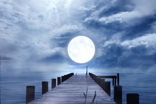 风华诀歌曲：隐藏在岁月深处的流行经典音乐