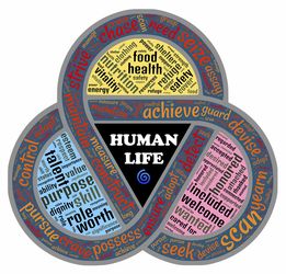 探索游戏无界：以霸业为荣，全面解析巅峰霸业所有地图及其策略秘籍