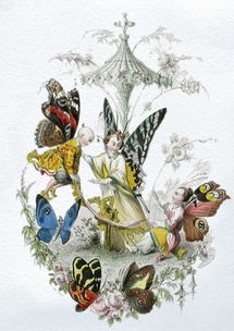 (魔法交换是随机的吗)如何在日常生活中利用魔法交换来解决问题？