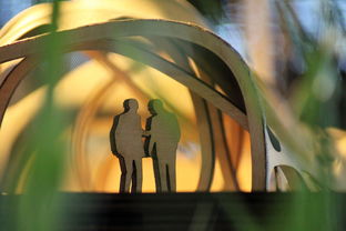 (圣树唤歌最强阵容平民)揭秘圣树唤歌最强阵容推荐，助你轻松通关