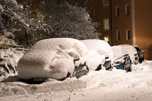 (地铁跑酷冰雪版下载)在冰雪版的地铁跑酷中感受极致刺激与挑战 (地铁跑酷冰雪版下载)在冰雪版的地铁跑酷中感受极致刺激与挑战
