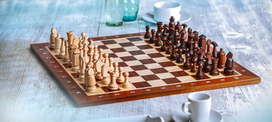 (下载单机象棋免费官方)免费下载单机象棋永久版，挑战您的智慧和策略！
