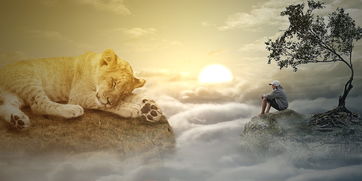 (变形金刚击倒和打击漫画出场)深度解读变形金刚打击和击倒CP,揭秘隐藏的故事情节与关系 (变形金刚击倒和打击漫画出场)深度解读变形金刚打击和击倒CP,揭秘隐藏的故事情节与关系