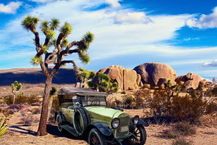 (单机1990经典版安卓下载)1990经典版单机游戏下载，怀旧游戏爱好者的最爱!