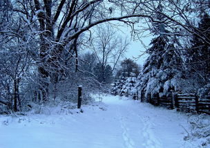(《晋江文学城》)雪中回眸：寻觅晋江文学城的迷失之路
