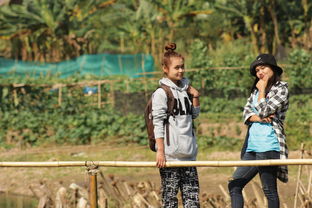 以传统文化解读:'仙禁生红药'中隐藏的生肖玄机——以古代诗词为线索探寻中国古老传统生肖文化的奥秘 以传统文化解读:'仙禁生红药'中隐藏的生肖玄机——以古代诗词为线索探寻中国古老传统生肖文化的奥秘