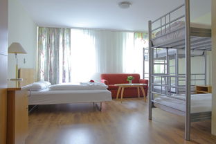 (史前战纪百度百科)揭开史前战纪的神秘面纱：探索古代文明与其战争背后的故事