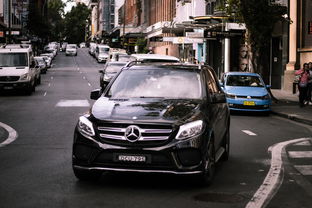 全面解析小鸡符文战争攻略：从新手入门到高手必备的战斗技巧与策略