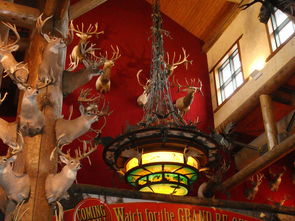 御龙争霸：八大神将齐聚，层层关卡等你挑战，玩家体验皇城角力战斗欲罢不能