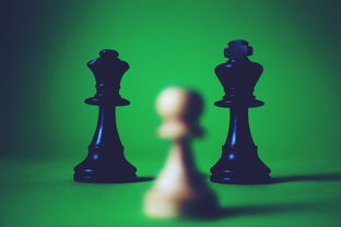 深度解析异尘达米拉wiki：一窥全面的角色设定、故事剧情和游戏策略