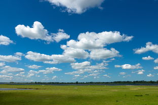 黄金太阳1全关卡通关详细攻略视频教程：你需要了解的所有秘籍和技巧