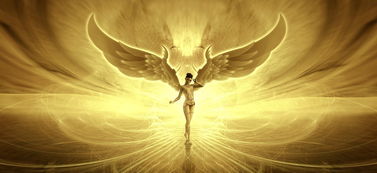 揭秘"代号为王"：一个隐藏在暗网深处的神秘身份的真相