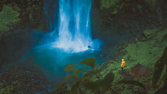 (武道值怎么提升)探索武道属性面板的秘密:发现潜藏在功夫背后的力量及智慧 (武道值怎么提升)探索武道属性面板的秘密:发现潜藏在功夫背后的力量及智慧