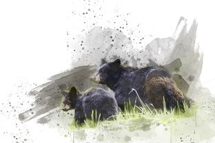 探究游戏变革:克瑞因的纷争插件如何塑造并丰富现代网络游戏体验 探究游戏变革:克瑞因的纷争插件如何塑造并丰富现代网络游戏体验