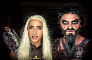 (霸世王朝官网)探寻霸世王朝游戏的奥秘：揭开权力与征战的神秘面纱