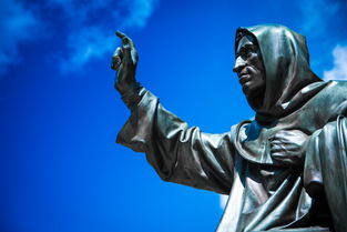 (金币大富翁阵容搭配)一个月冲29级，见证金币大富翁的巅峰之路