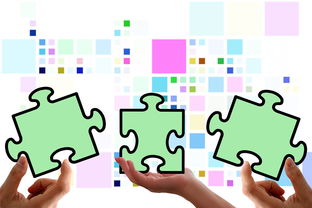 (新手能否加入创作者伙伴计划呢)新手能否加入创作者伙伴计划？