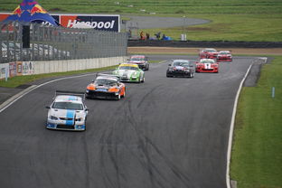 (虐杀原形攻略大全)虐杀原形攻略cp版：全面解读游戏技巧和配对攻略