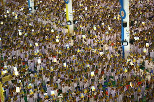 (疯狂派对游戏视频)疯狂大派对小游戏：让你沉浸在欢乐派对氛围中的狂热世界!