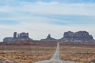 推荐阵容揭秘：《丛林鸟大冒险》果断选择哪些角色才能顺利过关？