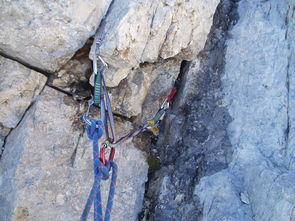 (妖神记手游妖主的秘密)探秘妖神记手游世界,挑战神秘妖王,谁能称霸? (妖神记手游妖主的秘密)探秘妖神记手游世界,挑战神秘妖王,谁能称霸?