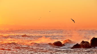 (中国几千年的历史长河中的故事)探索千年之旅：揭秘历史长河中的文化、文明与人类智慧