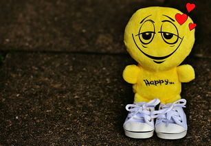 (微信小程序萌宠会馆)微信小程序萌宠封神:打造最可爱的萌物世界 (微信小程序萌宠会馆)微信小程序萌宠封神:打造最可爱的萌物世界