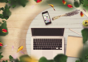 (电脑把pdf文件转换成word的免费软件)如何免费使用电脑将PDF文件转换为Word?快速掌握转换技巧! (电脑把pdf文件转换成word的免费软件)如何免费使用电脑将PDF文件转换为Word?快速掌握转换技巧!