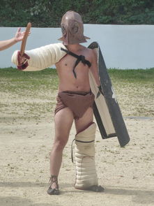 (女角斗士决斗)女角斗士重磅回归:新版改编展现现代女性力量 (女角斗士决斗)女角斗士重磅回归:新版改编展现现代女性力量