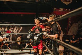 (游戏 战争策略)探讨人性与策略的边界:战争游戏如何塑造玩家的情绪和思维 (游戏 战争策略)探讨人性与策略的边界:战争游戏如何塑造玩家的情绪和思维