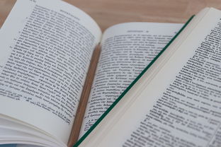 (遇见美好作文中考满分作文)初中生优秀作文：遇见美好，绽放600字力量